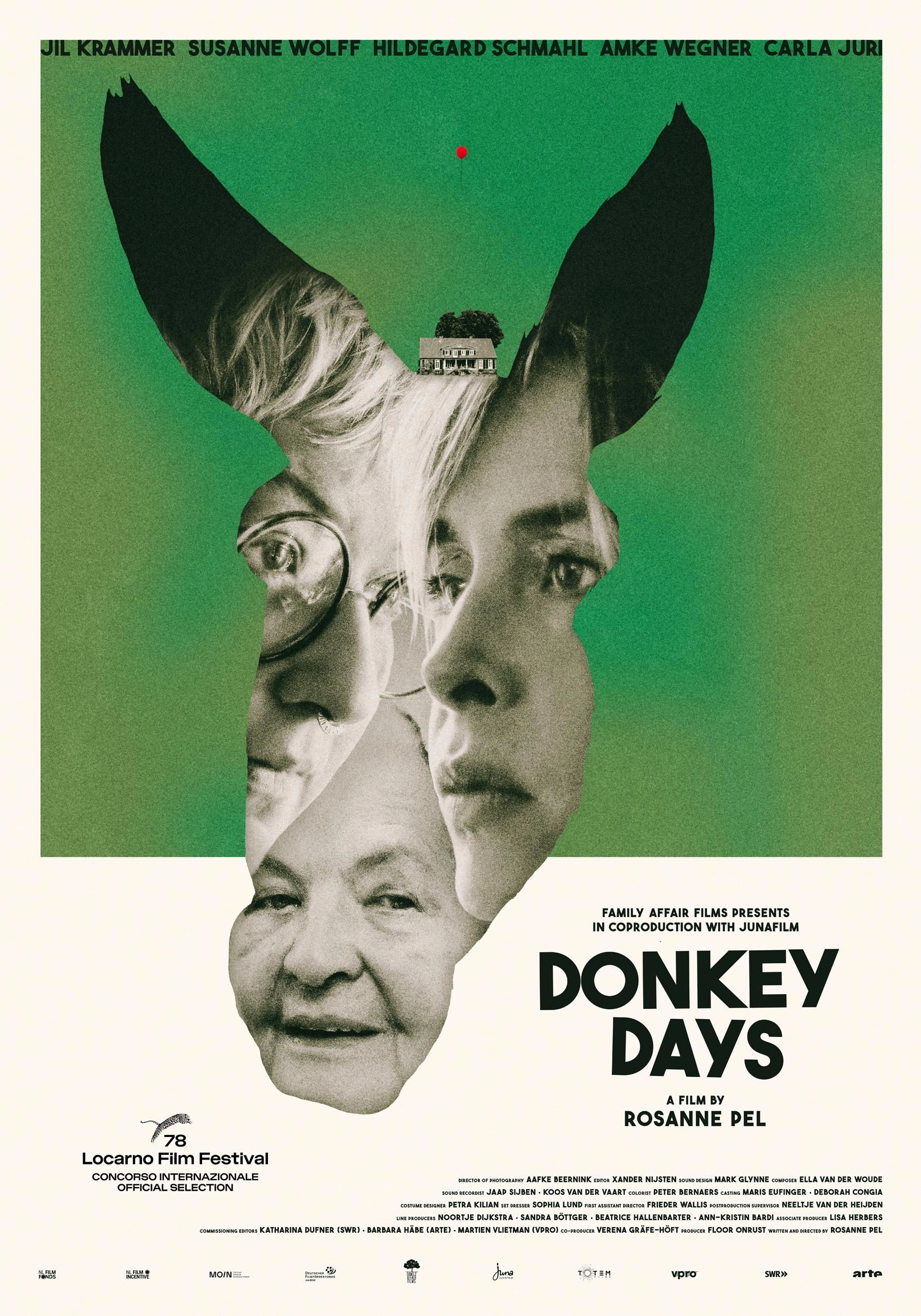 Donkey Days poster