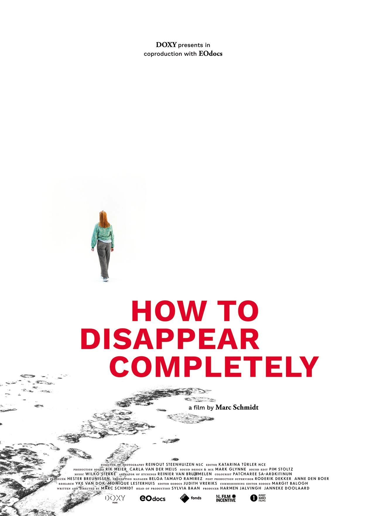 Hoe Te Verdwijnen poster